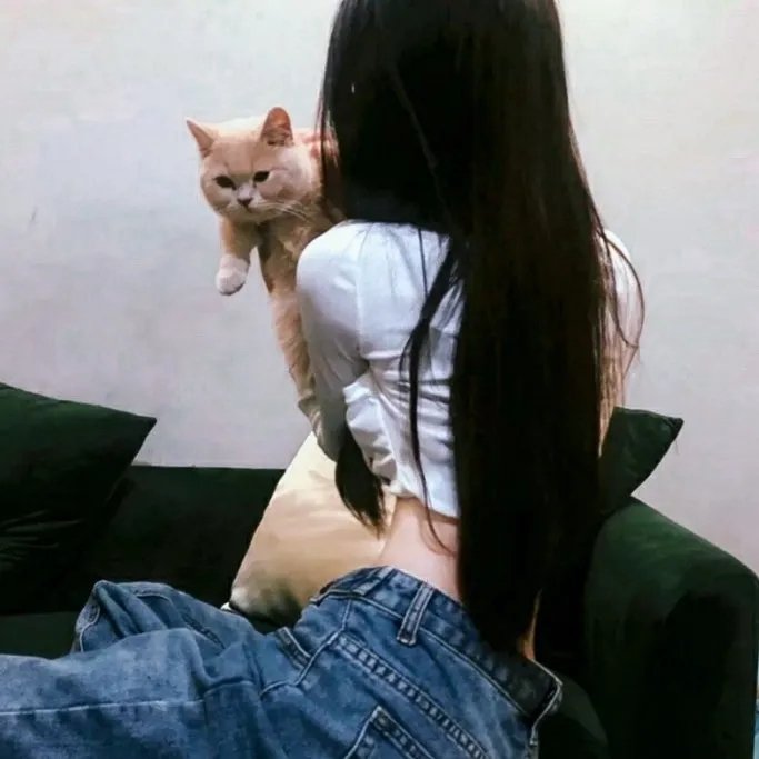 剧情佳片